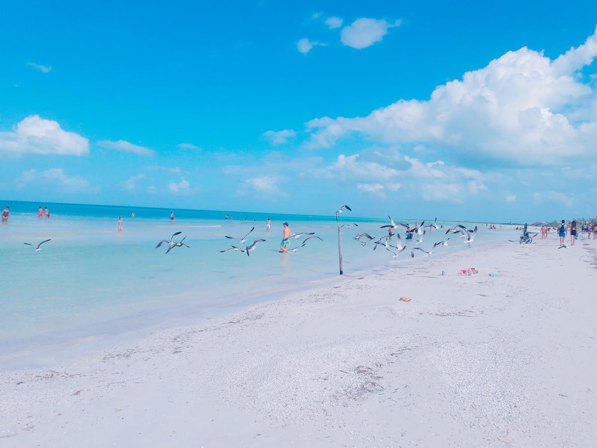 Hostel La Isla Holbox Zewnętrze zdjęcie