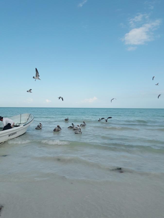 Hostel La Isla Holbox Zewnętrze zdjęcie
